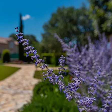 Villa Villa Romansa Miljevci With Private Tennis Court, Heated Pool, Jacuzzi And Sauna Siritovci