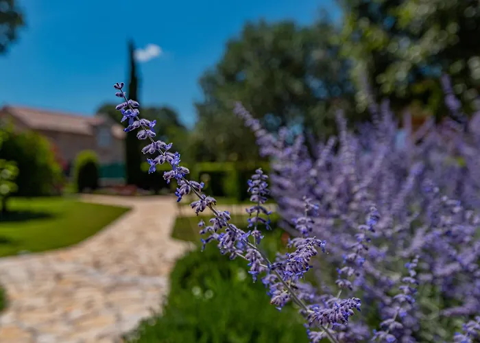 Villa Romansa Miljevci Near Krka National Park Siritovci